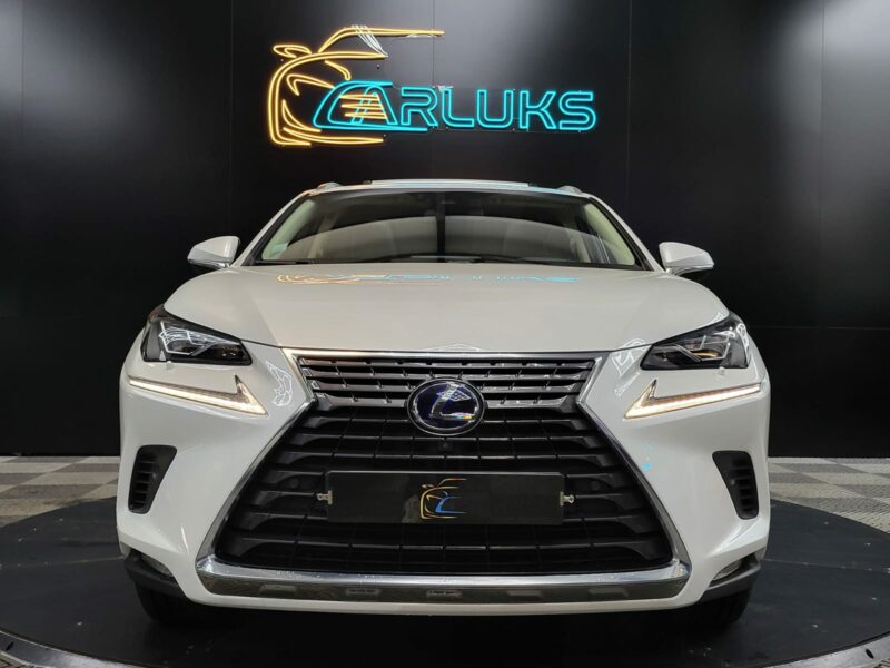 LEXUS NX 300h Hybrid 197cv Executive AWD Boîte Auto CVT